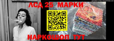 шишки Гатчина