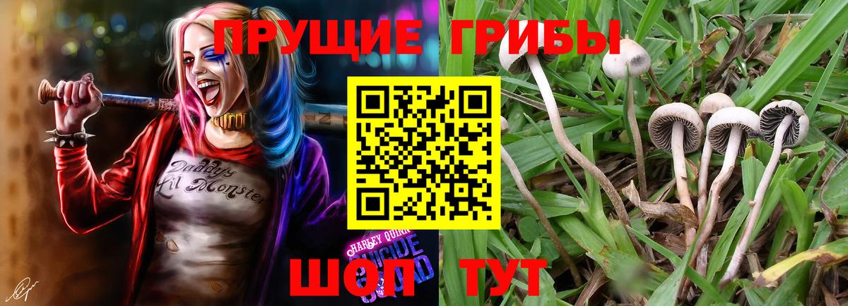 Галлюциногенные грибы Magic Shrooms Нижнекамск