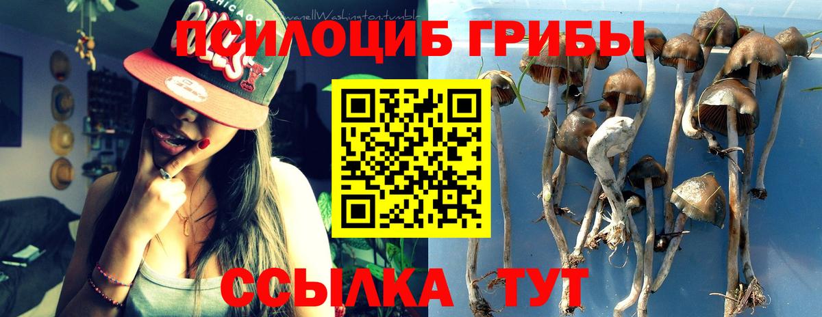 Галлюциногенные грибы мухоморы  Вход с VPN  Галлюциногенные грибы мицелий  Нижнекамск 